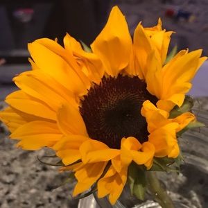 Meet your Posher, Marcy